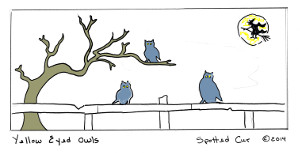 Yellowq Eyed Owls